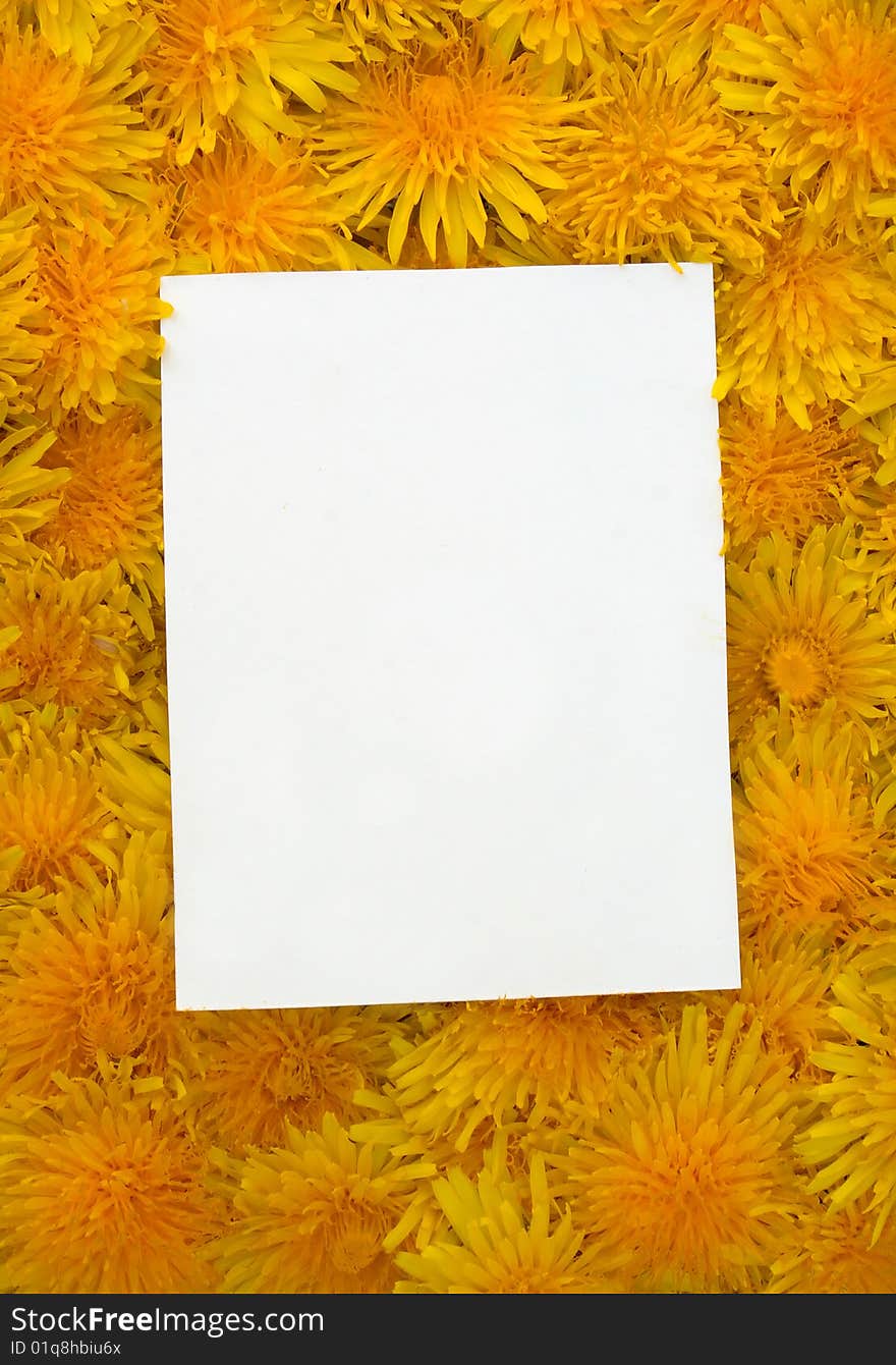 Card blank on the flower