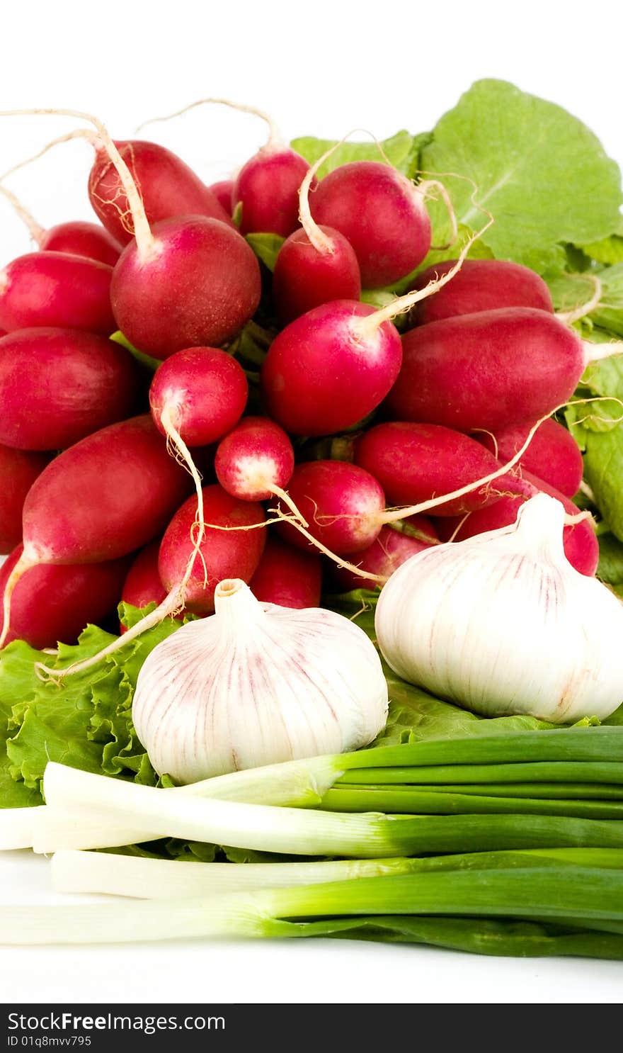 Spring onions, garlic, lettuce and radish bunch on the white background