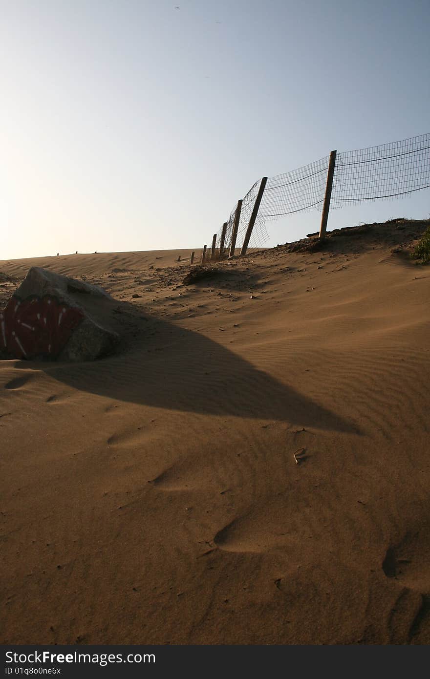 Windswept sand dunes