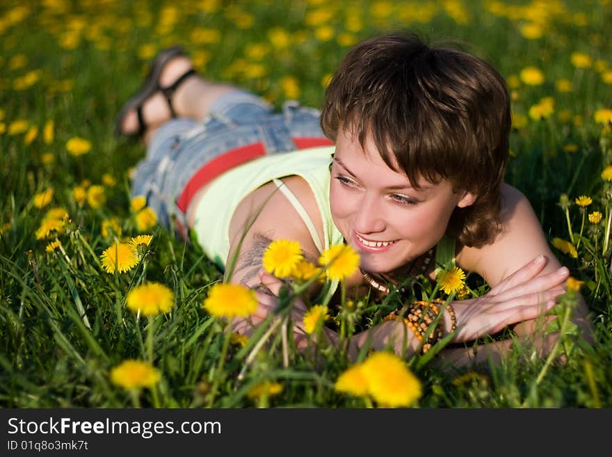 Dandelions glade