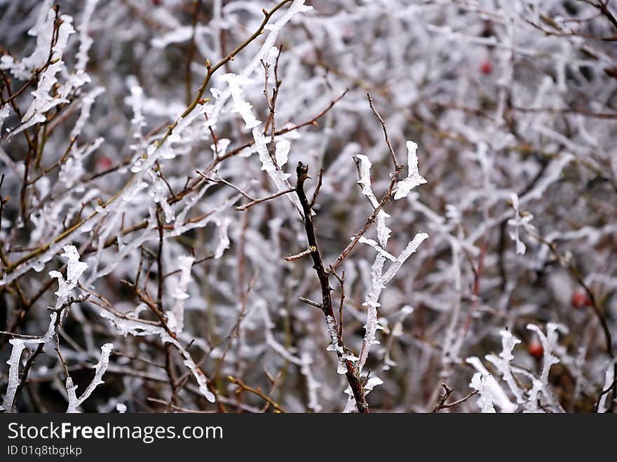 Hoarfrost