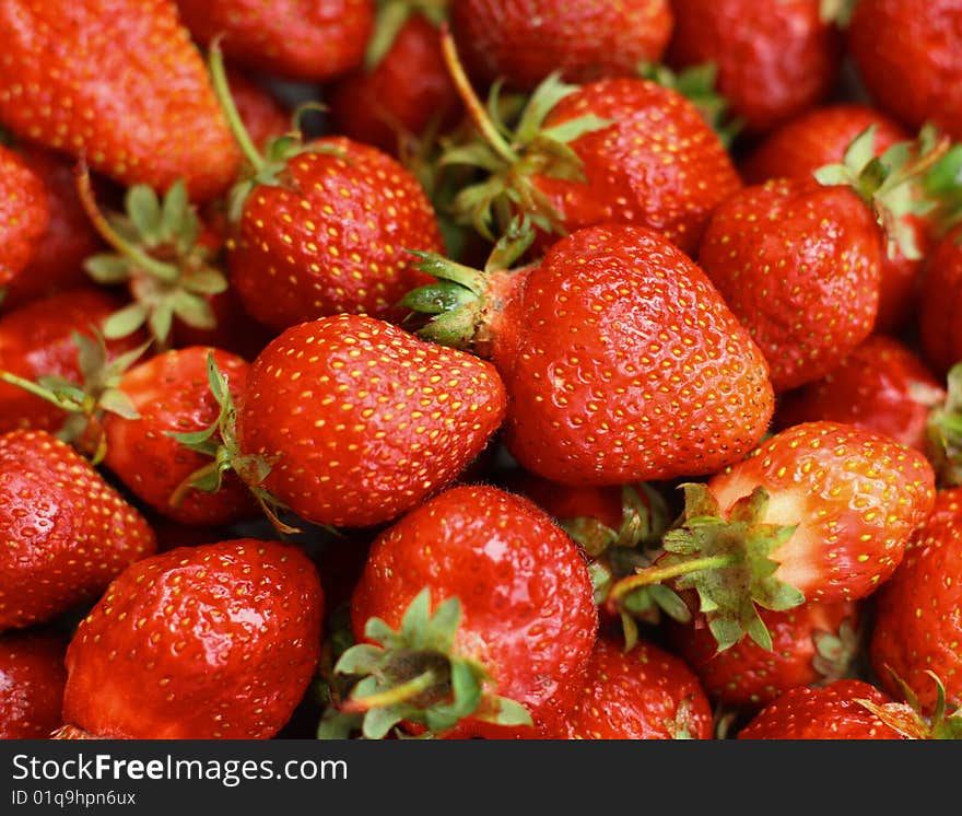 Close up of the ripe red strawberry