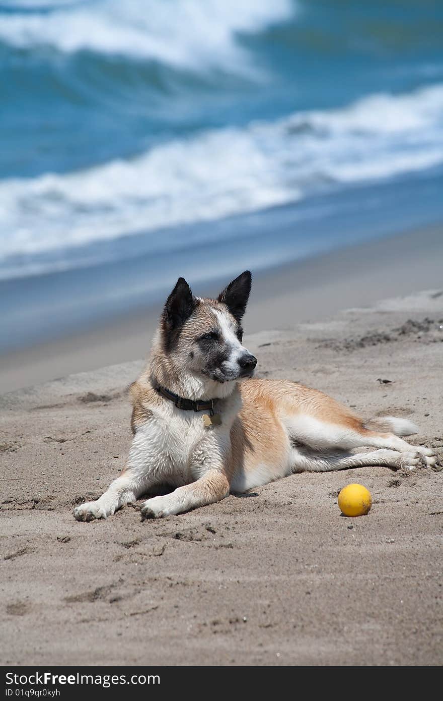 Day at the beach