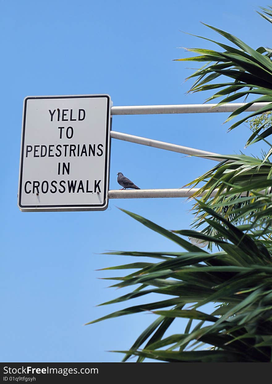 Yield to pedestrian