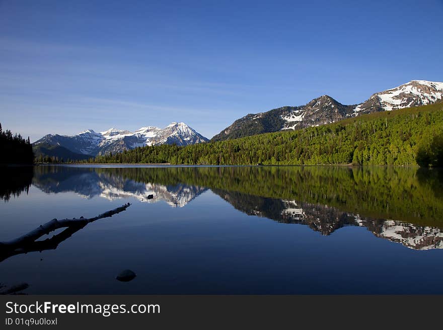 Morning Reflections