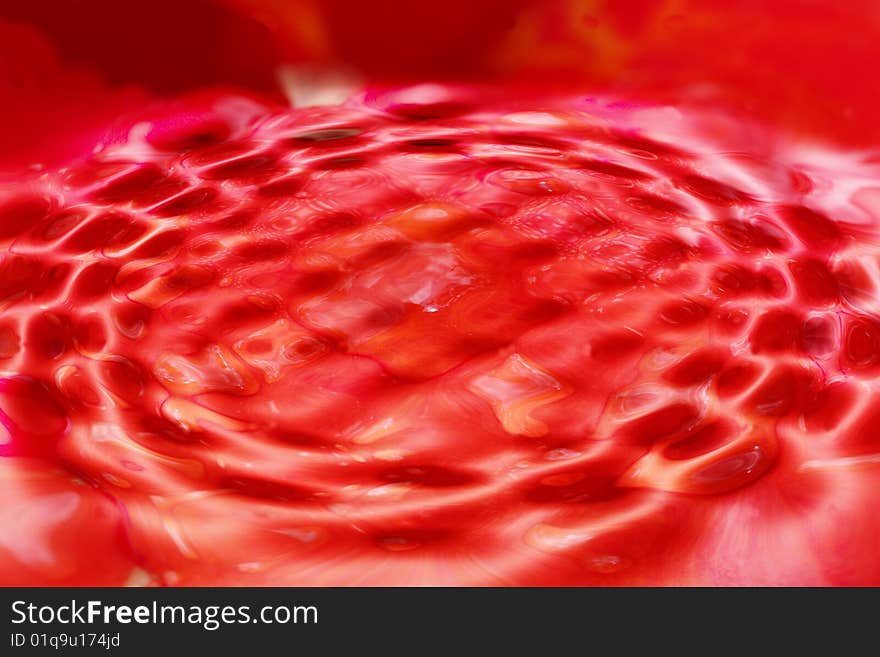 Flower petals background with water ripples. Flower petals background with water ripples