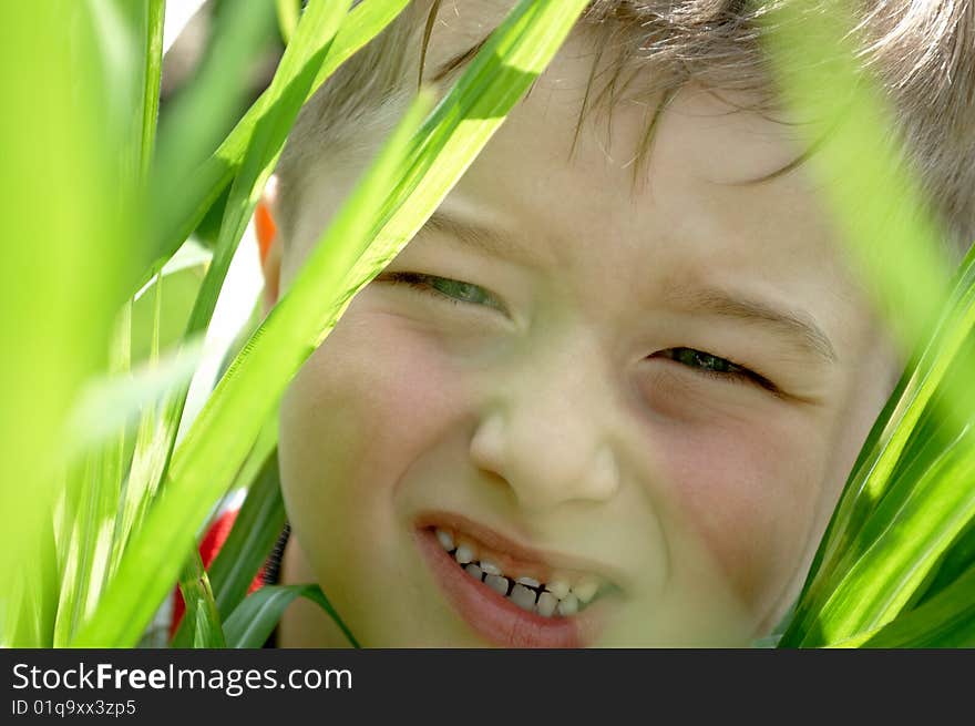 Little boy in the high grass