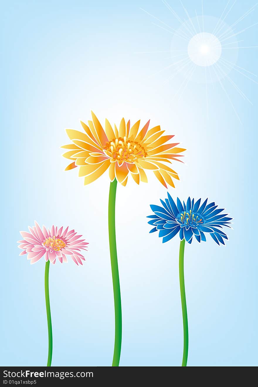 blooming flowers and a blue background