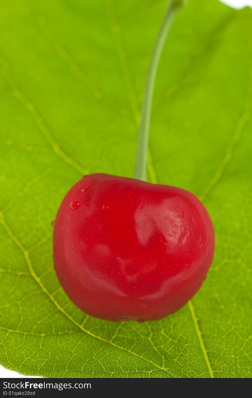 Fresh sweet cherry lies on green leaf