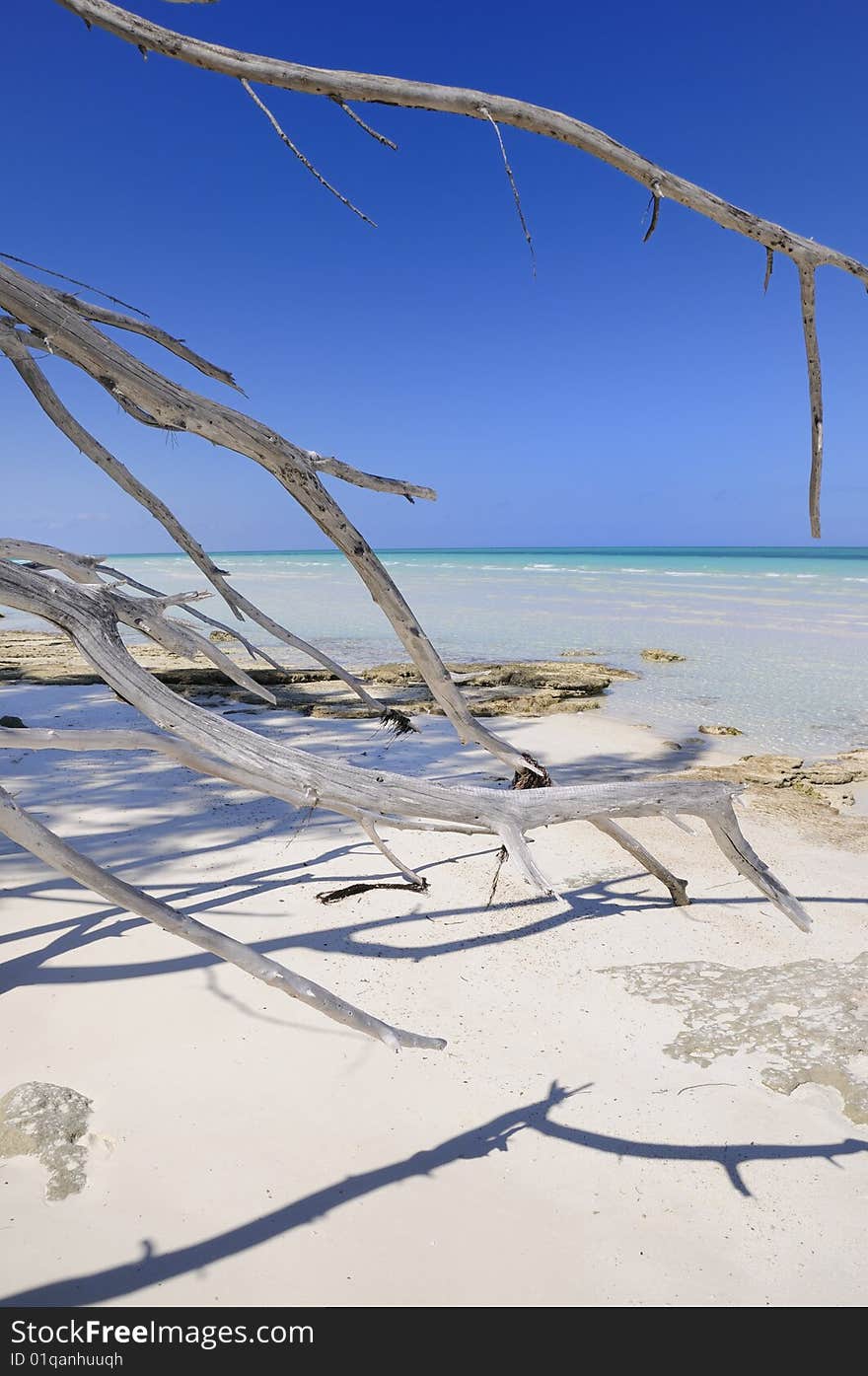 Idyllic beach