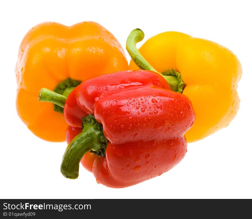 Close-up color paprika isolated on white