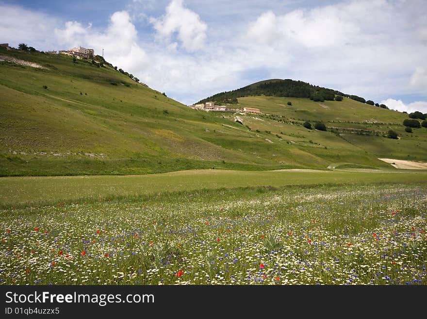 This is a summer landscape in umbria