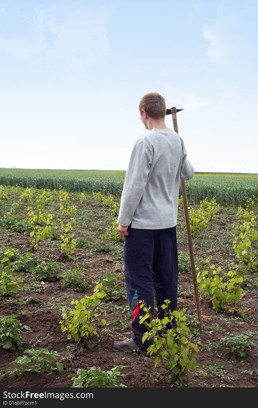 The man left in the field to work. The man left in the field to work