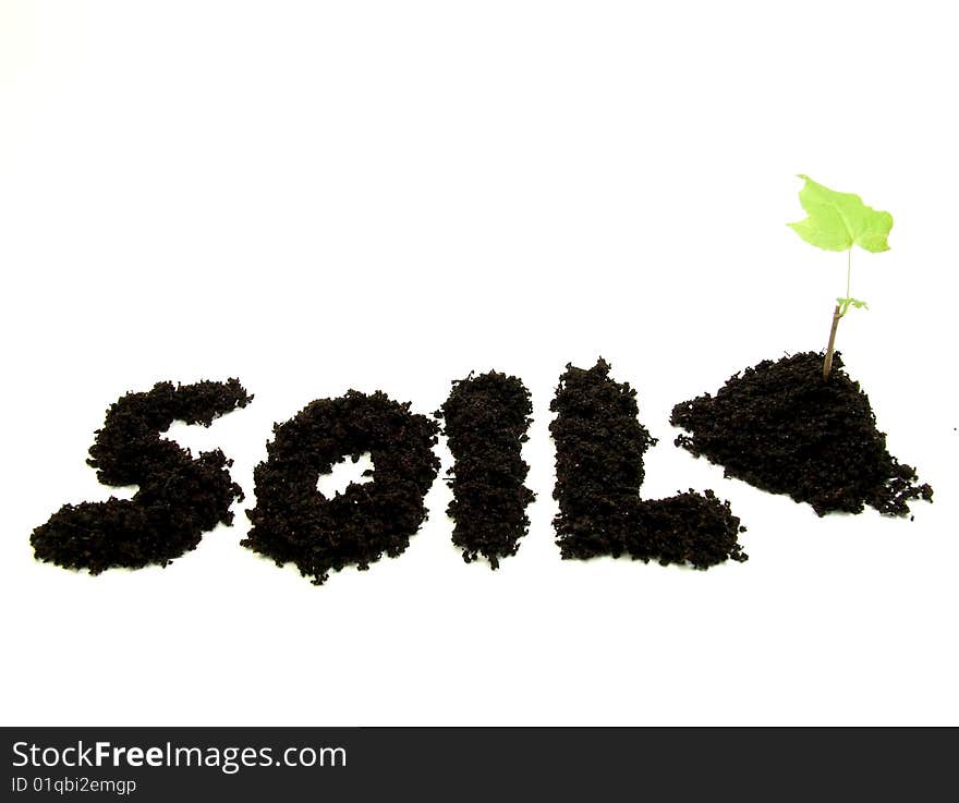 Text soil and plant