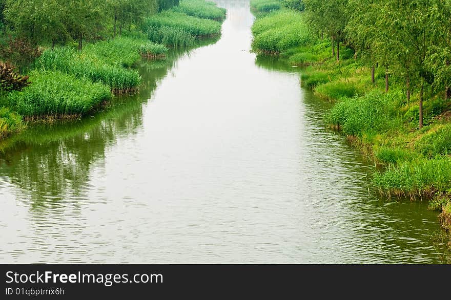 The marshes in beijing suburb. The marshes in beijing suburb