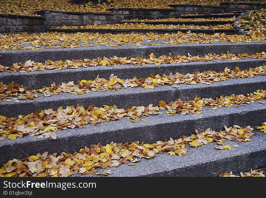 Outdoor stairway with yellow fallen leaves