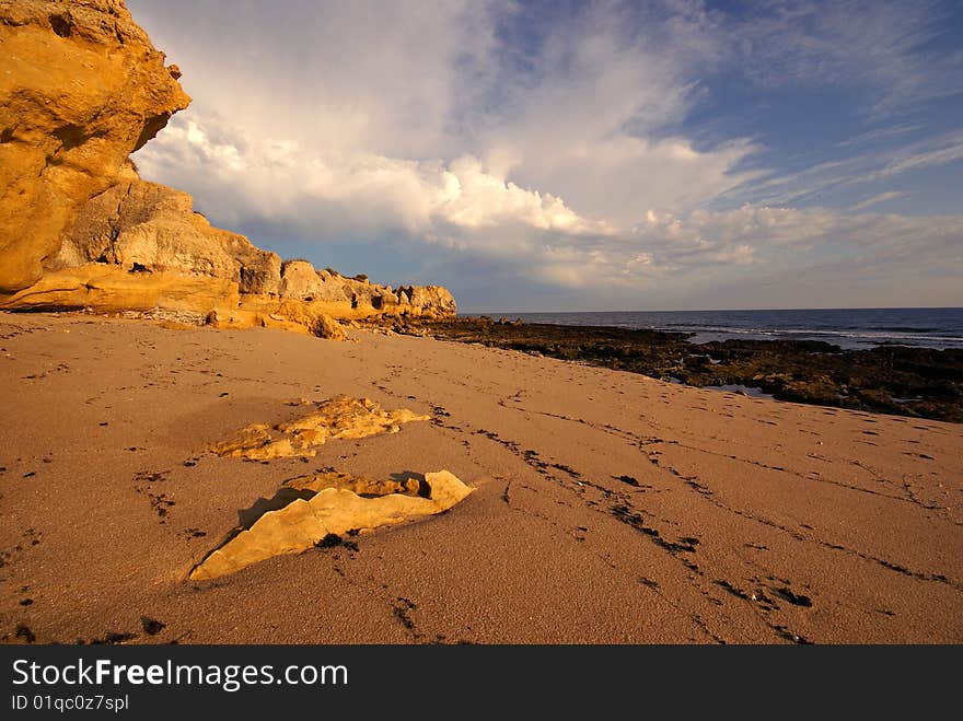 The beach