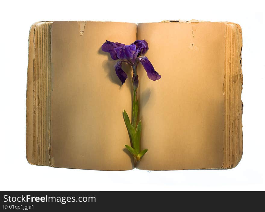 Blank old Book with flower isolated on white background