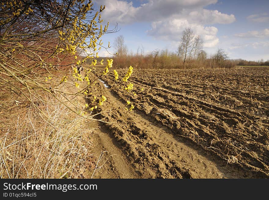 Spring on arable land