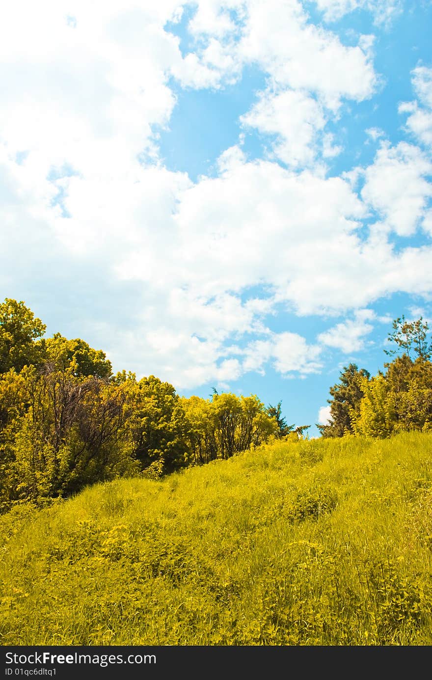 Yellow and blue colors of nature