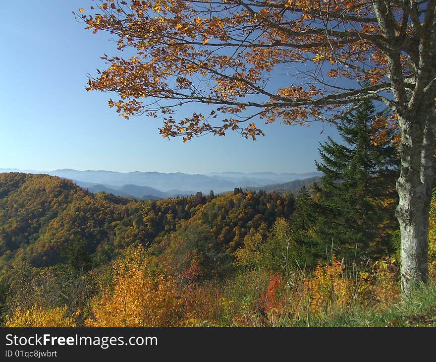 Smoky Mountain, Newfound Gap