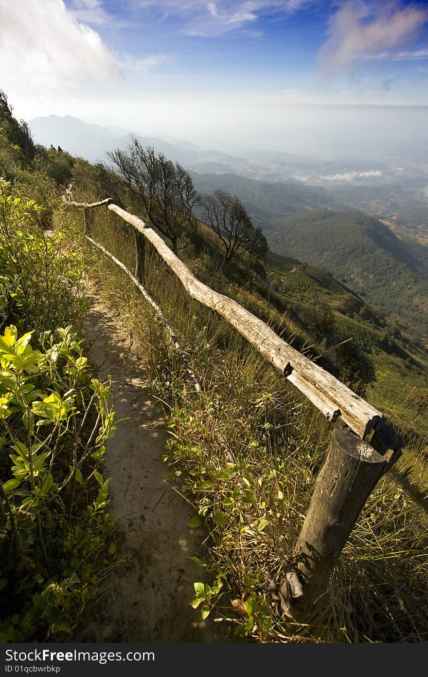 Doi Intanon Mountain In A Foggy Morning