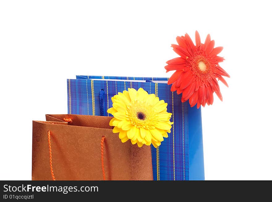 Two paper bags for gifts with flowers