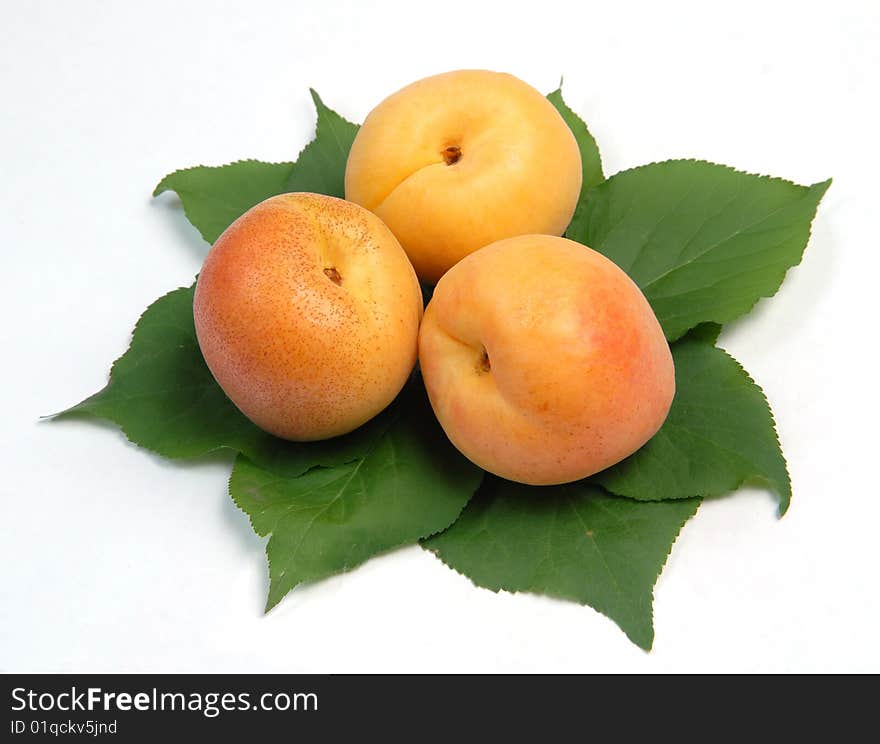 Apricots on green leaves