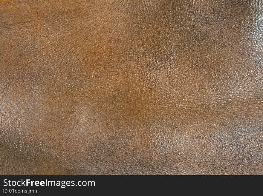 Leather Texture