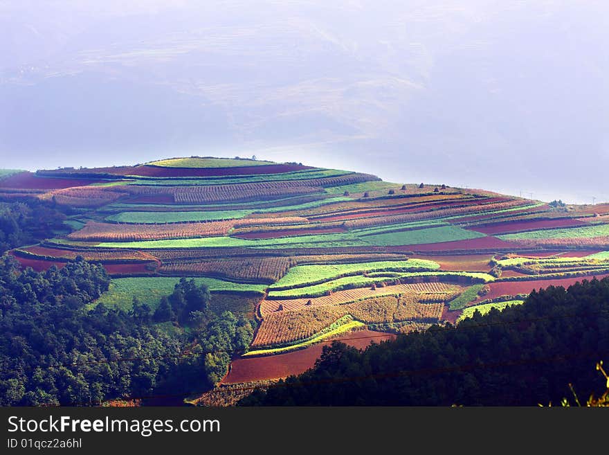 Beautiful Farmland