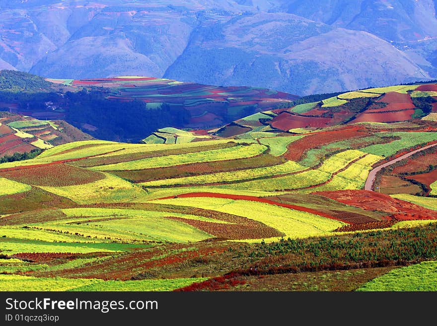 The farms likes carpet on hill. The farms likes carpet on hill