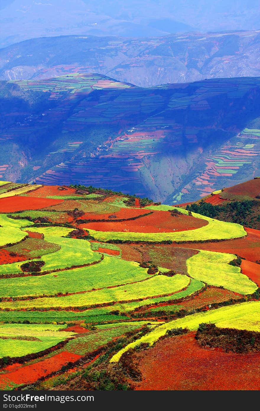 Many farms on the mountain