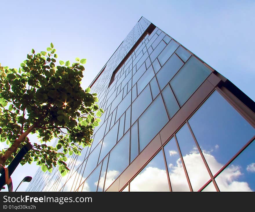 Building with clouds reflecting and a tree. Building with clouds reflecting and a tree