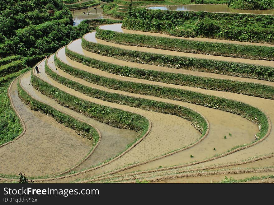 The ancient terrace at an altitude between 300 to 1180 meters, covers an area of 70 square kilometers. The ancient terrace at an altitude between 300 to 1180 meters, covers an area of 70 square kilometers.