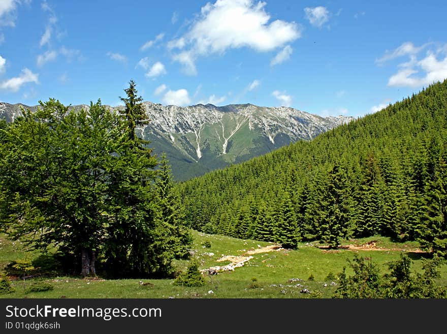 Scenic view with Piatra Craiului mountains from Charpathian mountains in Romania. Scenic view with Piatra Craiului mountains from Charpathian mountains in Romania