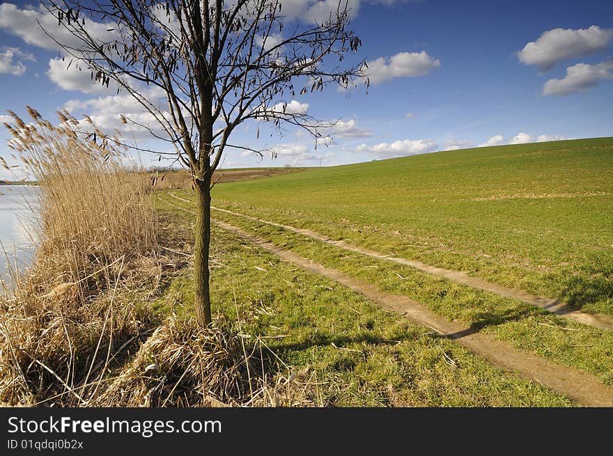 Trails by the lake