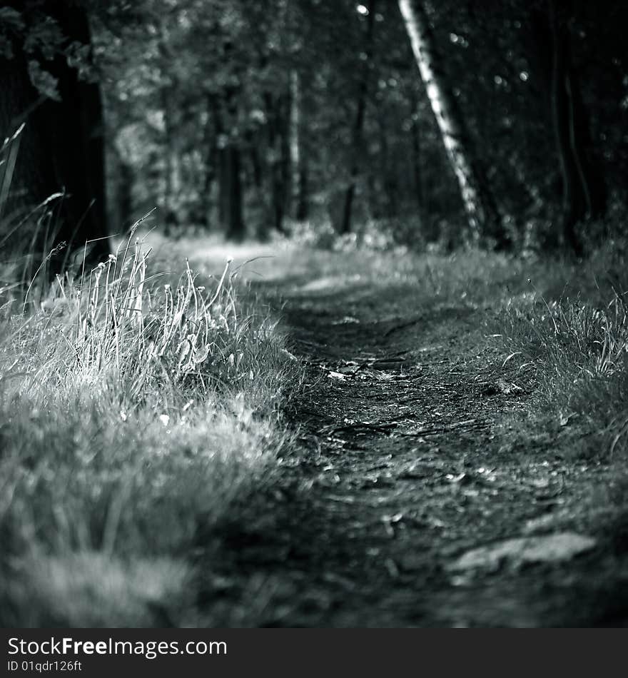 Rural road