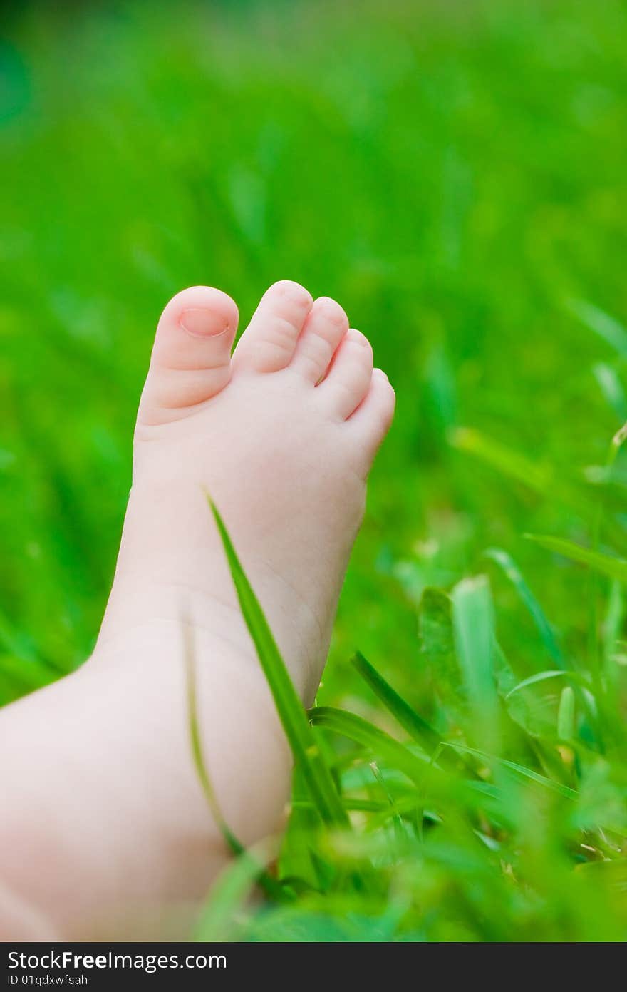 Little baby feet on fresh green grass outdoors