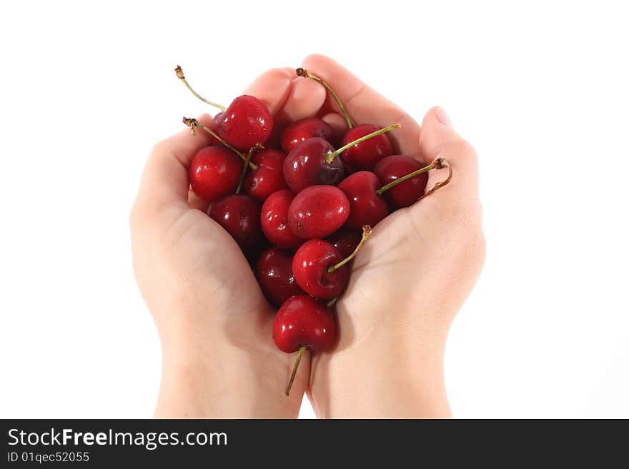 A handful of freshly washed cherries