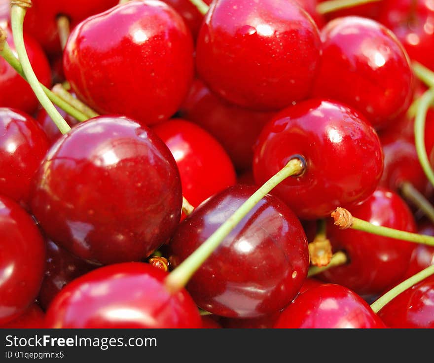 Red cherries macro