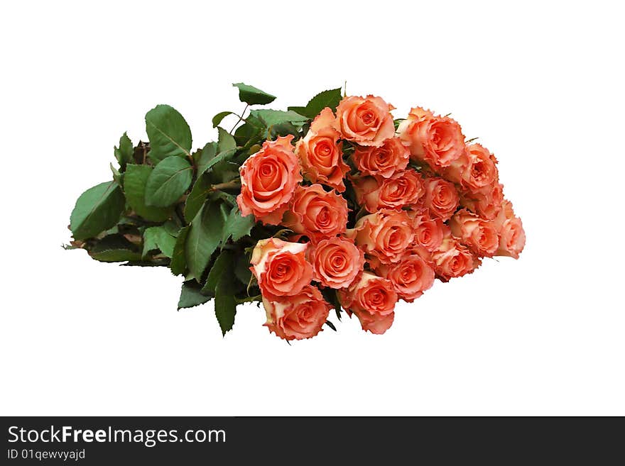 Roses of orange colour photographed on a textural light background