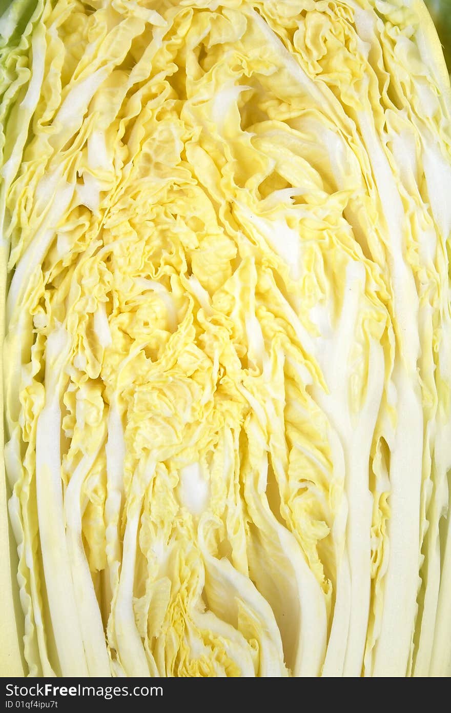 Texture cabbage isolated on white background. Texture cabbage isolated on white background