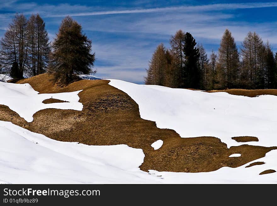 A pattern made by melted snow.