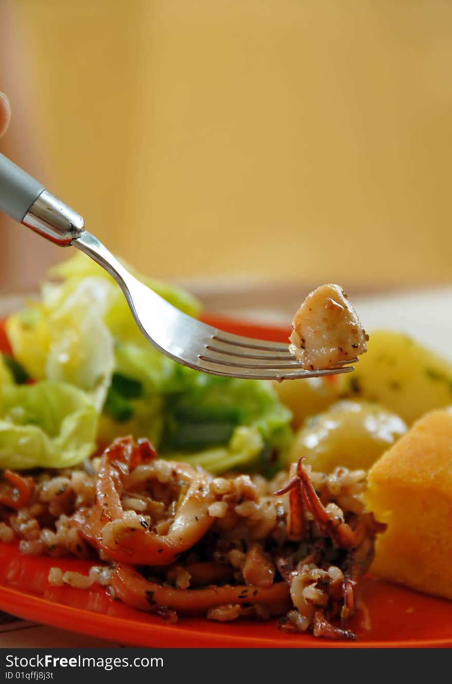 Squids rice with vegetables on red plate, piece on fork. Squids rice with vegetables on red plate, piece on fork