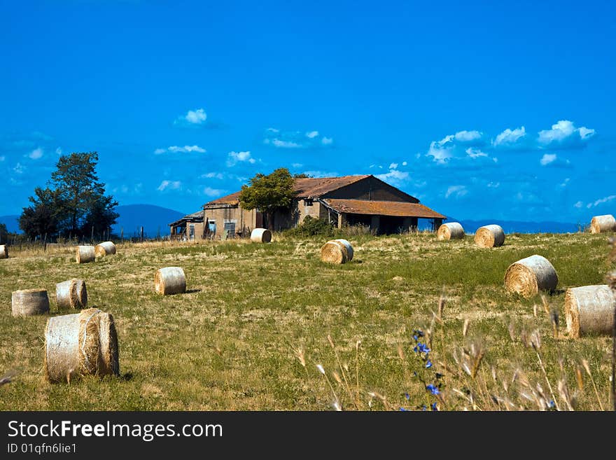 Bales of hay arount the farm