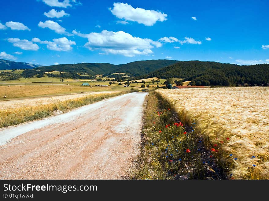 Dirt road in italy