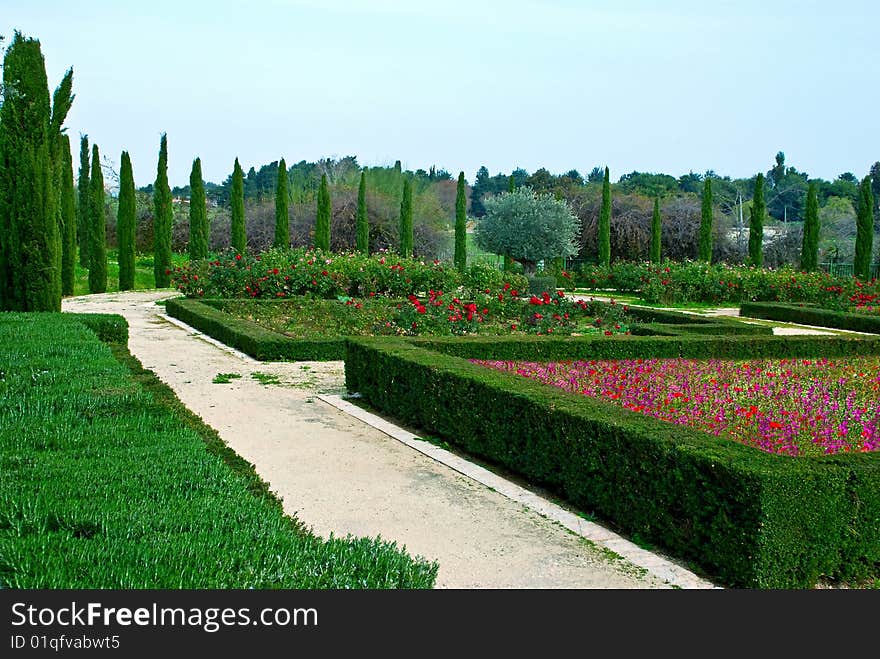 Geometric designed  cut bushes in a botanic garden. Geometric designed  cut bushes in a botanic garden