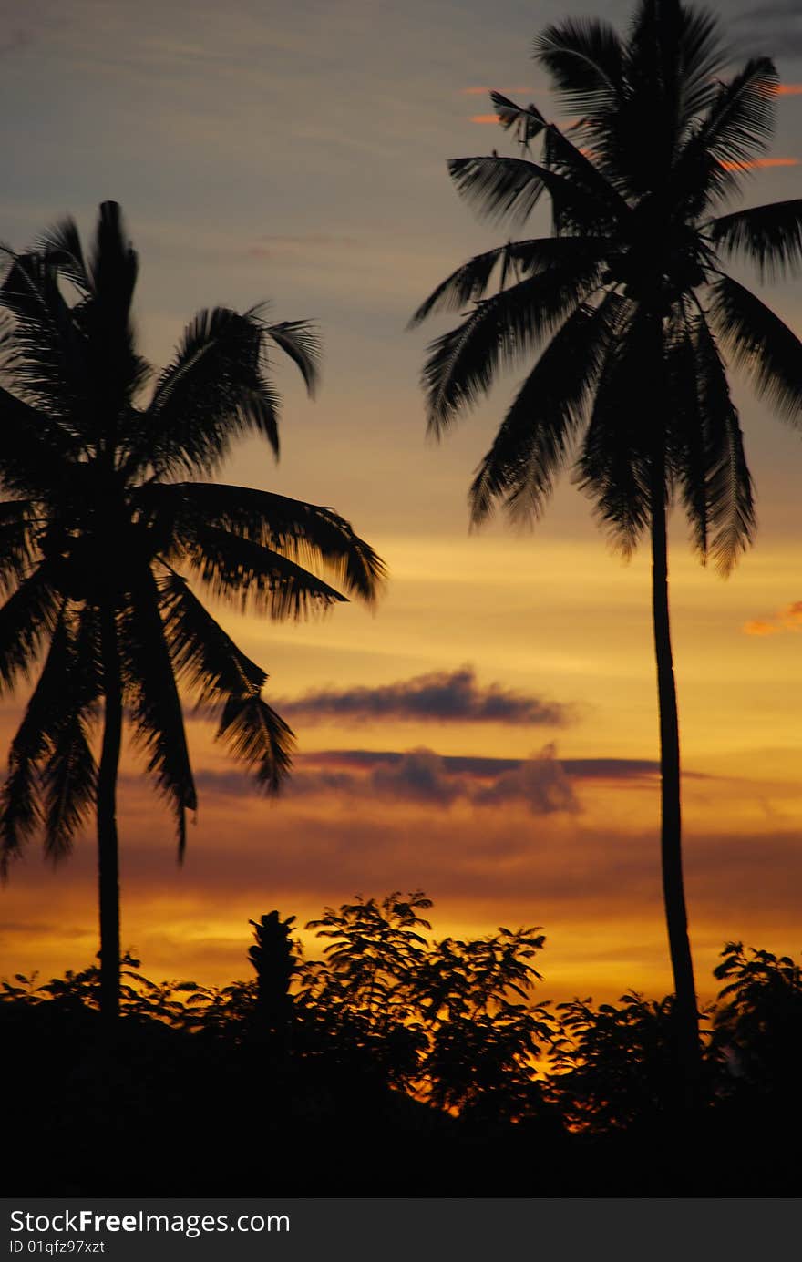 sunset framing coconut palms butuan mindanao philippines. sunset framing coconut palms butuan mindanao philippines