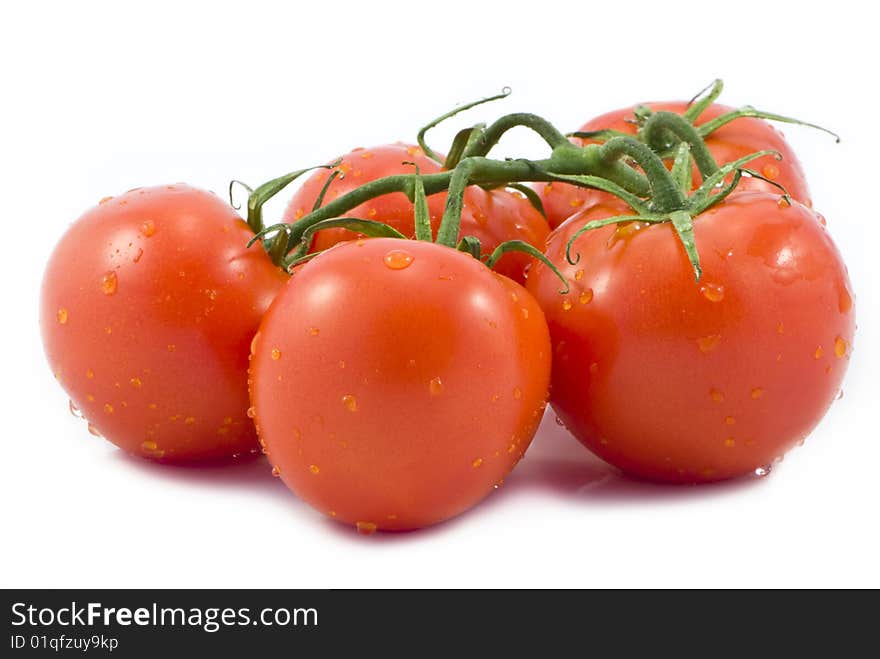 Tomatoes