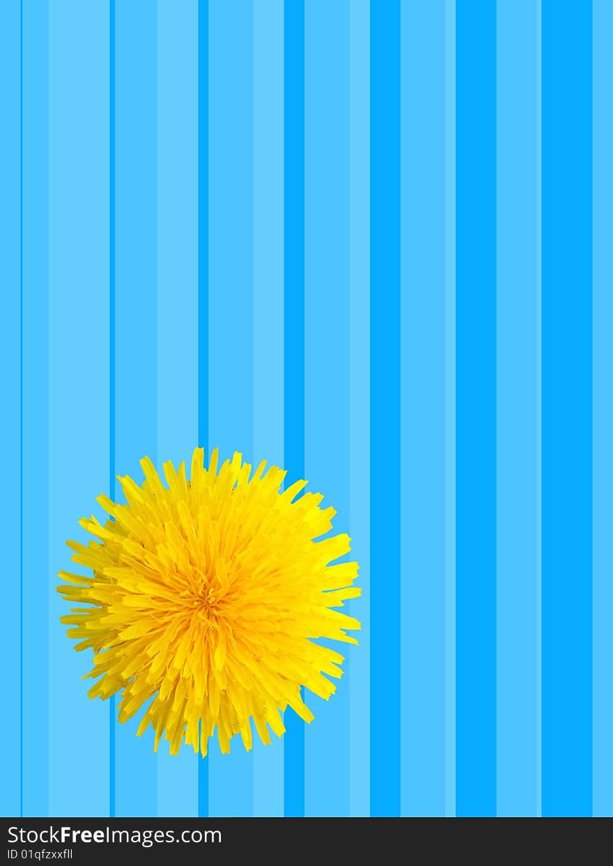 Collage from a flower of a dandelion and a striped background.